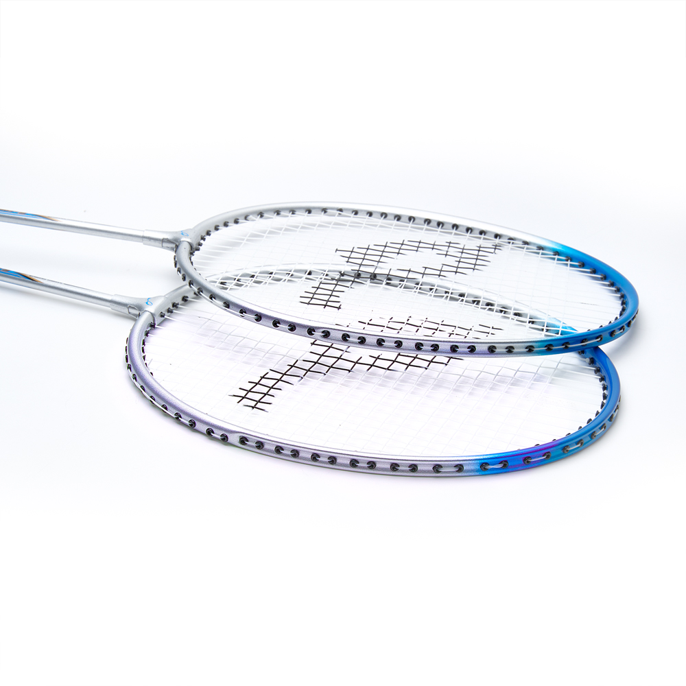 Набор для бадминтона DOUBLE FISH JINQUE LT-119+, длина 660мм,2 ракетки в чехле