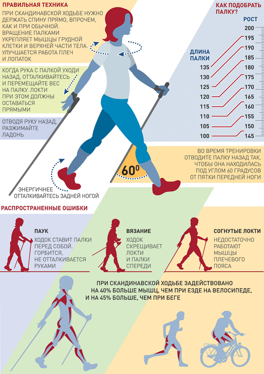 Палки для скандинавской ходьбы Ergo Nordic Е-0673, длина 110-140см.